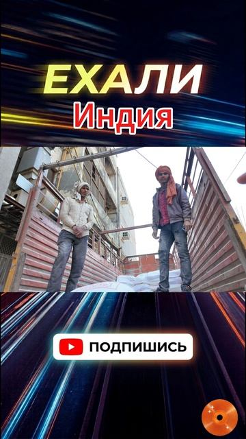 Ферма у гигантской свалки Дели — коров кормят рядом с мусором