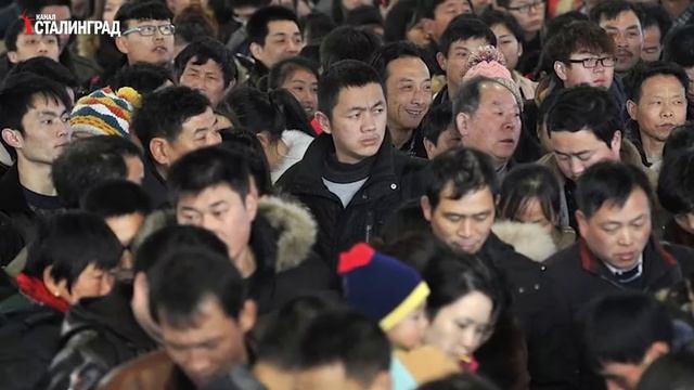 МИГРАНТЫ К РАСПАДУ ГОТОВЫ