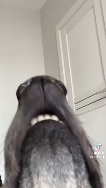 C2895dbf1d71f835b6504286cda371e4