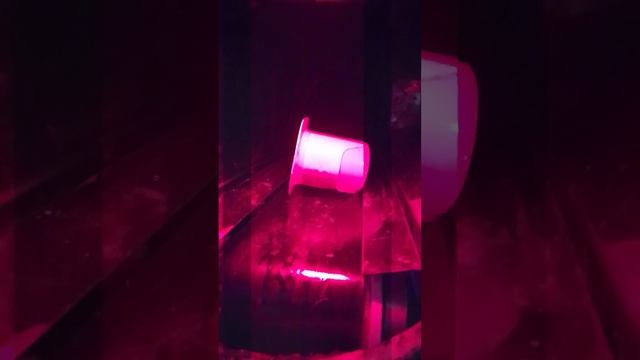 Сдаю бутылки №5