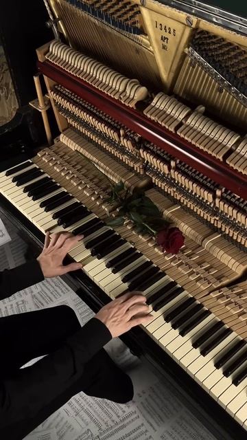 If Music Be The Food Of Love, Play On❤️ #aesthetic #piano