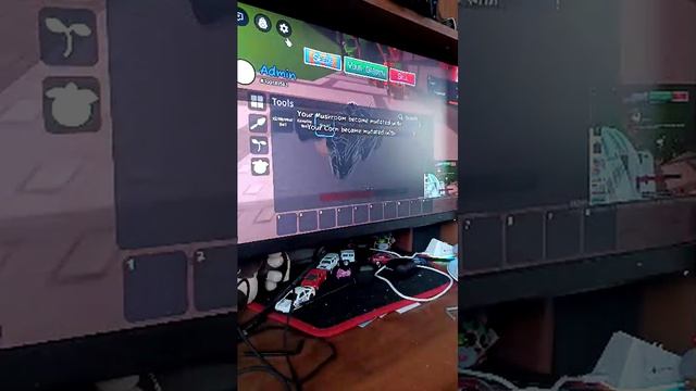 обзор в выристи в сад 2