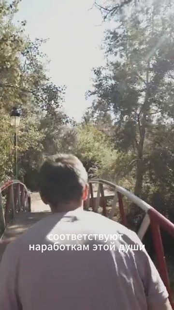 Душа выбирает род