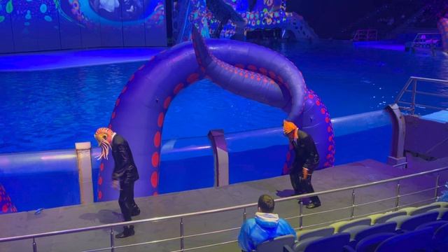 10 лет сыну. Поездка в Москвариум. Море снов.