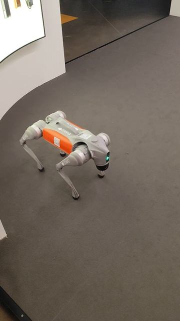 Робот на выставке 2025