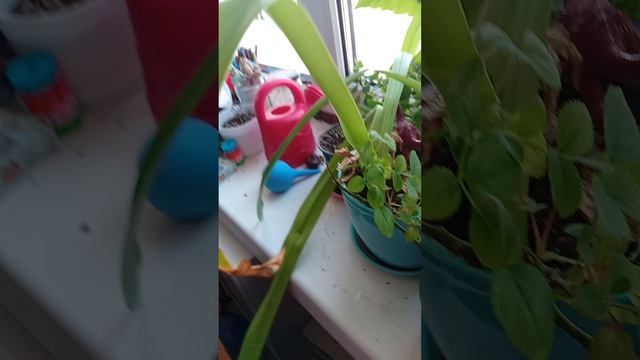 часть вторая