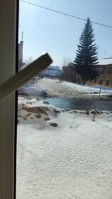 Наконец-то пришла #весна 😁