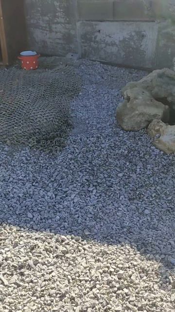 Субботник на даче...