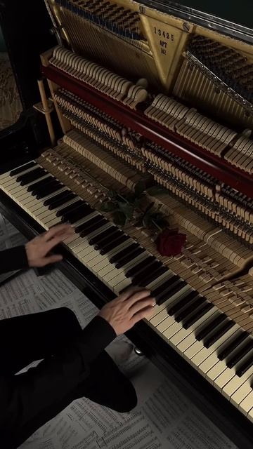 Divenire #aesthetic #piano #darkacademia