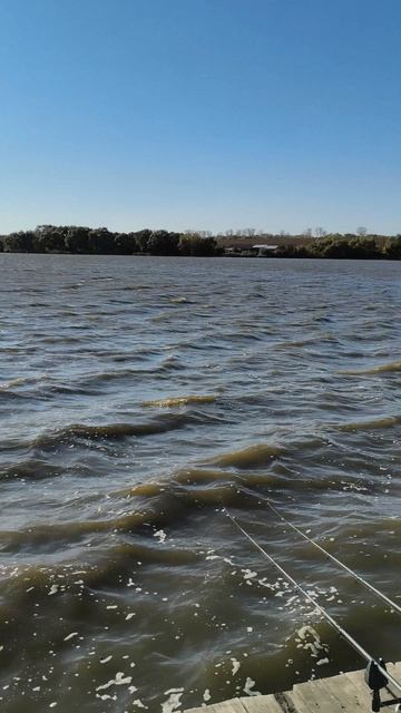 5628c12310bc1e6208cd898f73eb1e78