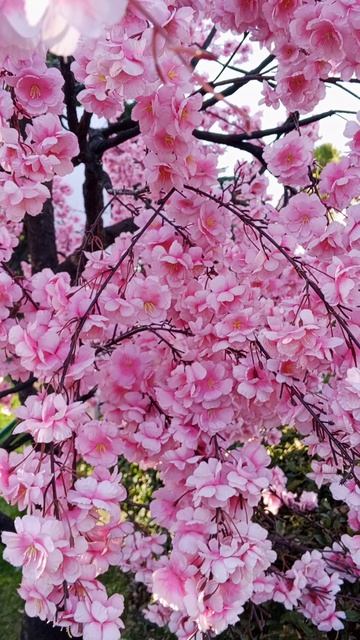 астропрогноз