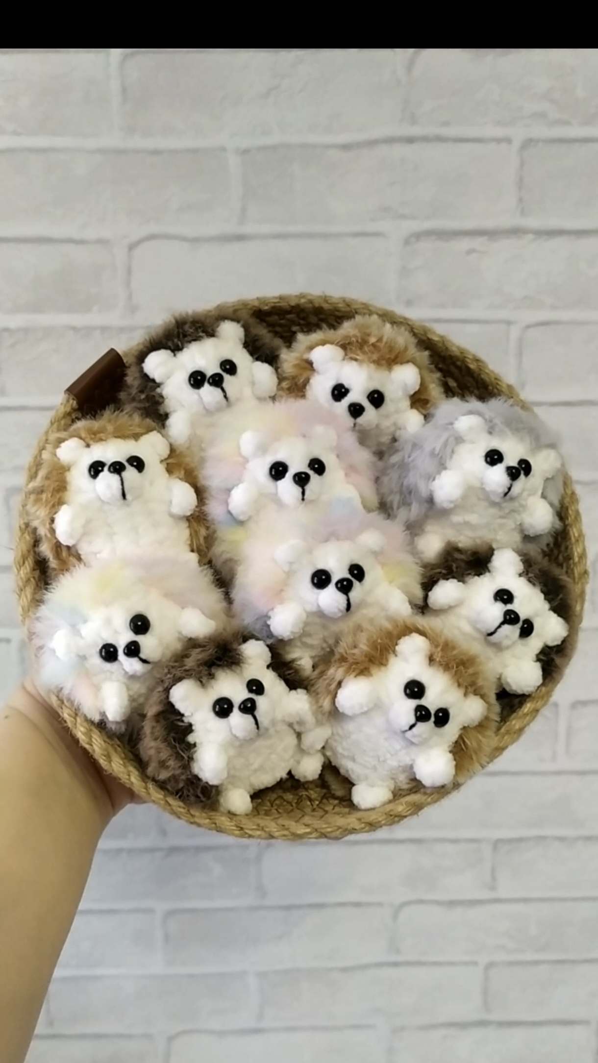 Малыши Ёжики🦔🦔🦔