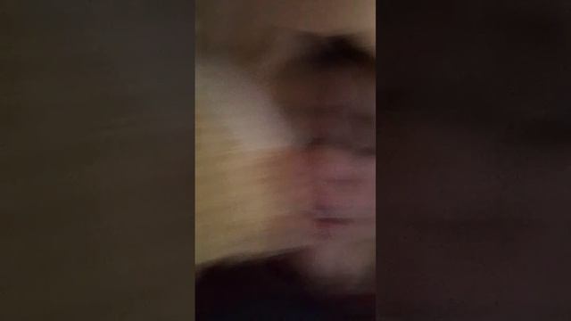 обзор на мою страйкбольное снаряжение