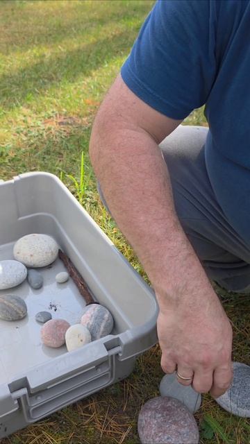 На участке из-под снега проклюнулось воспоминание о невероятном путешествии