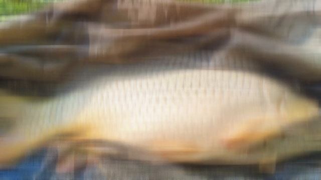 6c6bd4de45b9588e6c8dd66e3715b853