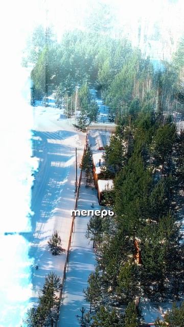 Экскурсии по посёлку в основом лесу