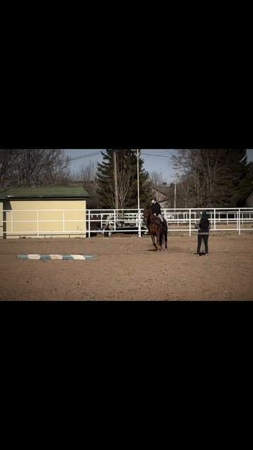 Лошадиная сила 💪🔥