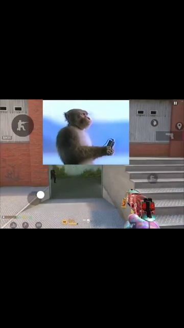 Типичные рандомы в войс. Часть 1.