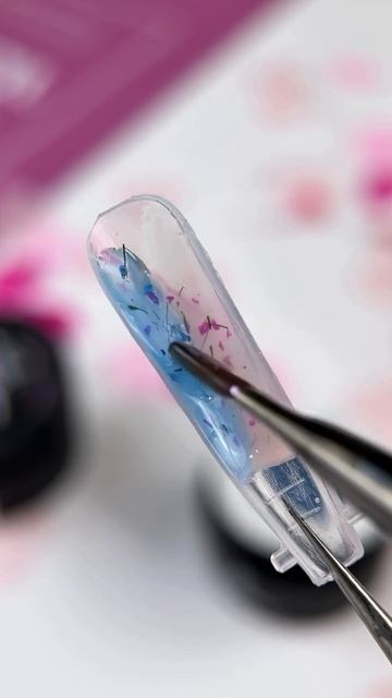 29c9205ad23298b7efad7820d6700b81