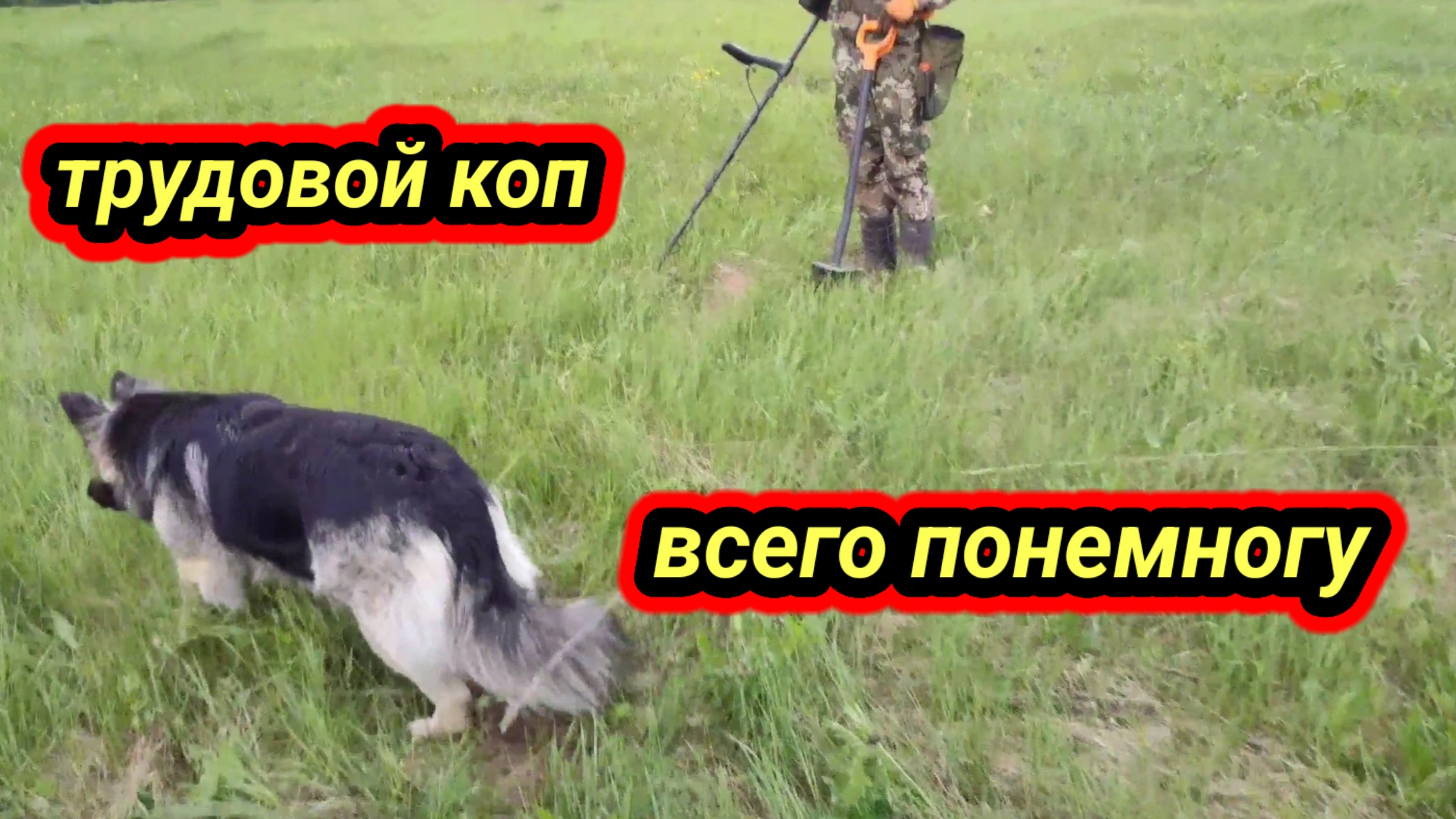 трудовой коп, всего понемногу