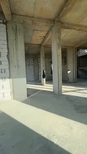 2438621230626067038