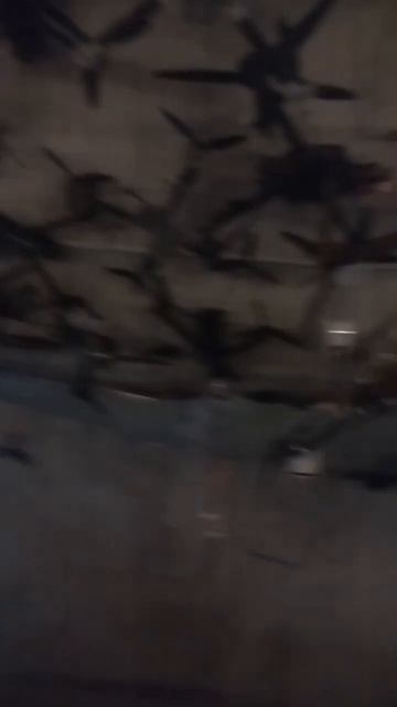 Небольшое видео из нашего музея СВОи! 
Зал дронов!