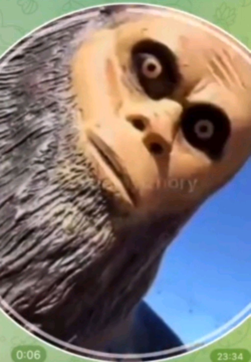 Набор в комнату