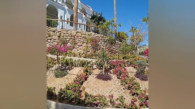 ШАРМ-ЭЛЬ-ШЕЙХ.SIERRA. ФЕВРАЛЬ 2023 Г.