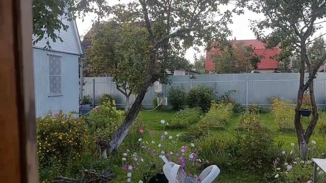 Закрываем дачный сезон (август 2025) ВЛОГ