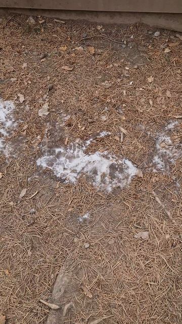 Be399792de5c8cb6835a395ecb6f8d07