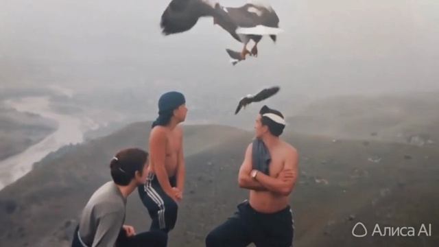 Беззаботная юность