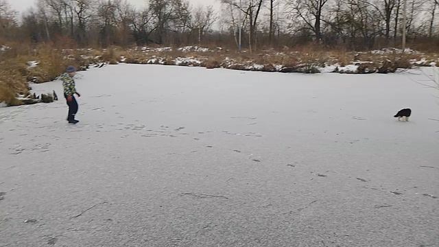 Наш котёнок по имени Пушок проверяет лёд.