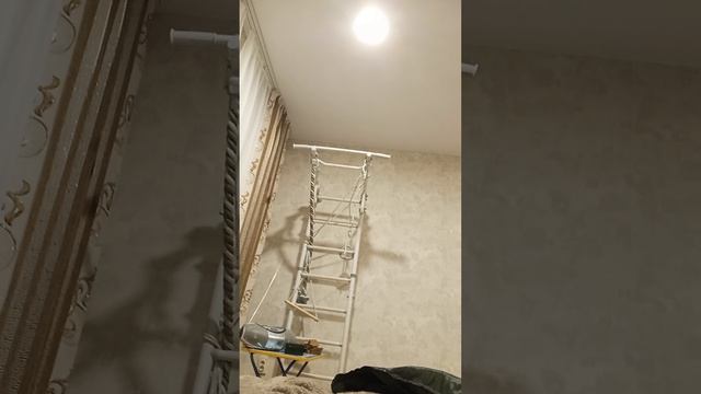 1000005480.mp4 обзор на мою сумку