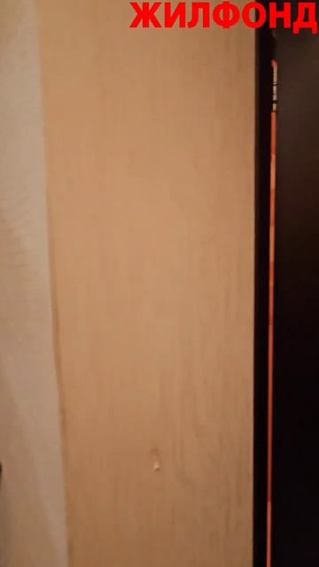 Алтайская, 24