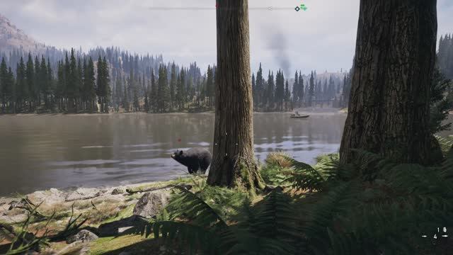 Far Cry 5 Xbox Series X Заднее салто медведя