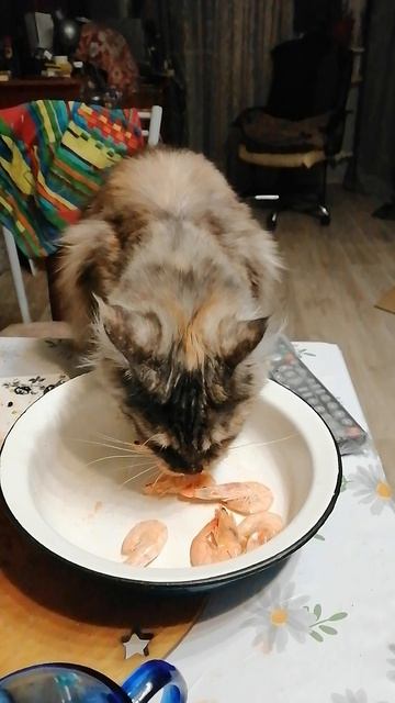 Похищение креветок.