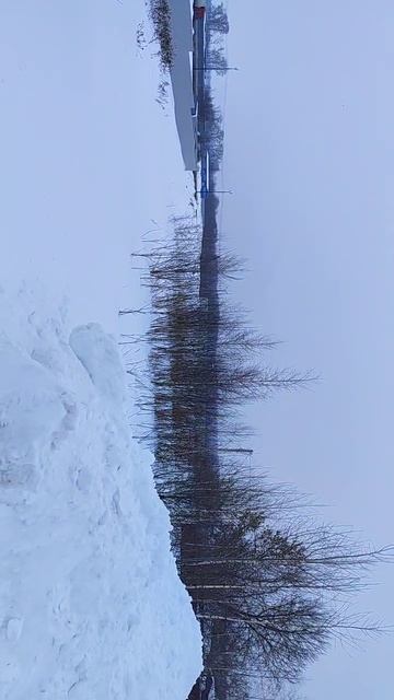 З/у с к.н. 50:28:0100308:685, расположенный по адресу: обл. Московская, г. Домодедово, д. Ярлыково