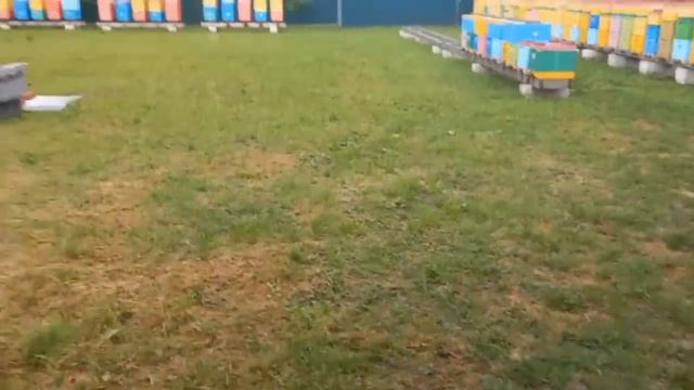 У Природы нет Плохой Погоды!!!