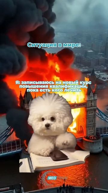 😂 Делимся ссылкой на курсы повышения квалификации для самых быстрых: https://clck.ru/3SWqcK