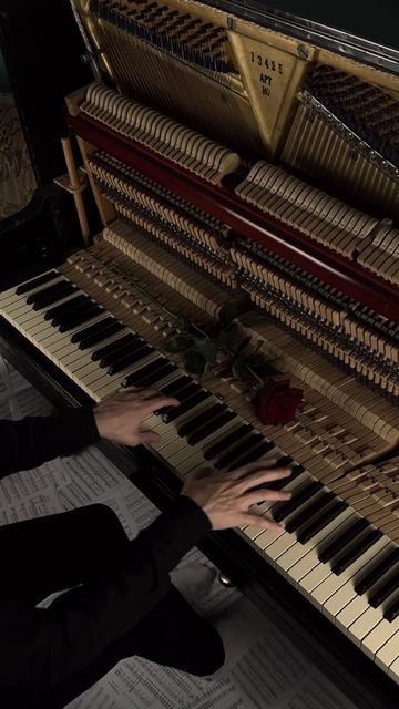 and could I dare, just for a glance into your eyes, not lose my mind? #piano #aesthetic #calm