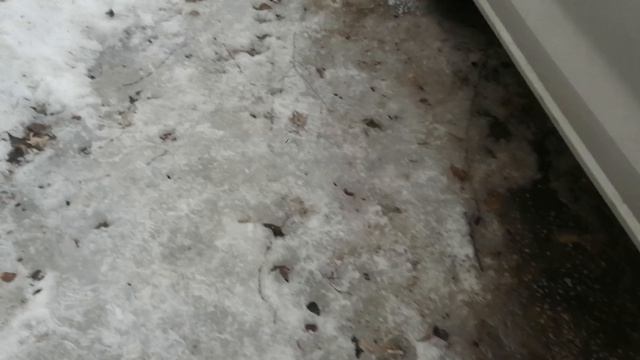 Прятки с друзьями