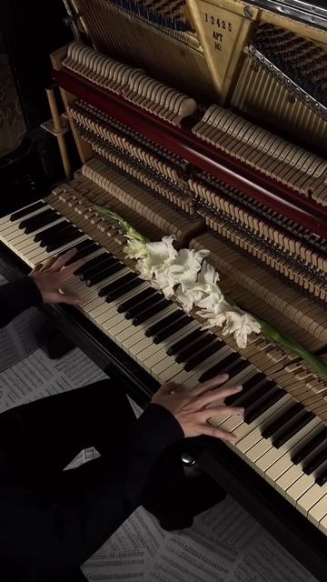 Hold me❤️ #aesthetic #piano #calm