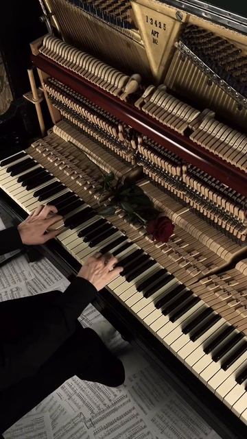 Once Upon A December #aesthetic #piano #darkacademia