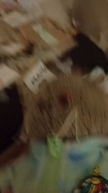 Миша хочет всё если купить