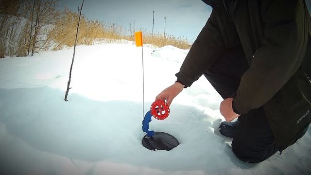 Позитивные весенние ЩУКИ 😃