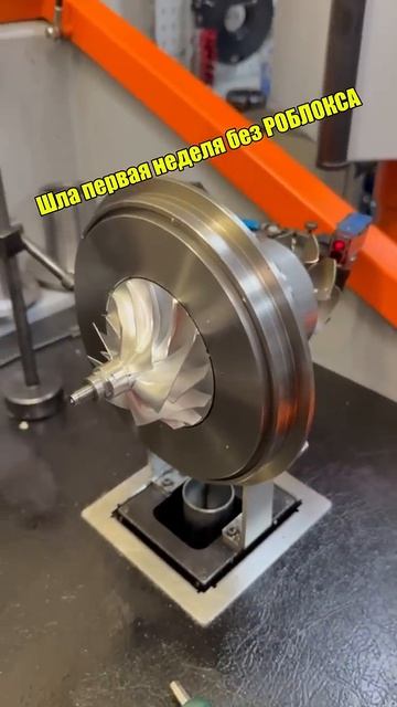 Шла первая неделя без Роблокса