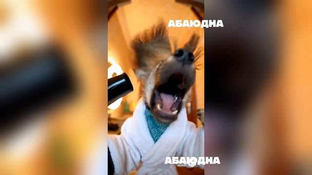 Кринж #видео #мультики #детям#детский #абаюдна #ии #рутуб #топ #хайп