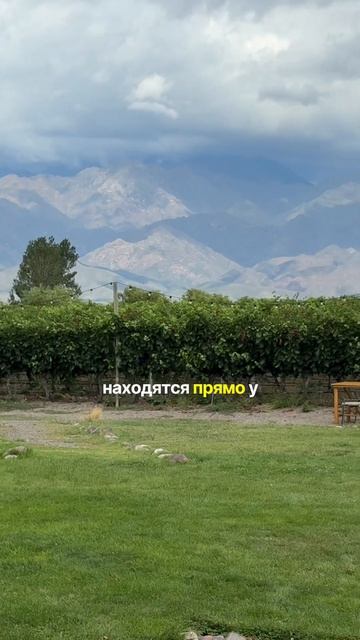 Лучшие винодельни Аргентины. Или как кайфонуть от Мендосы #blacksmithfamily