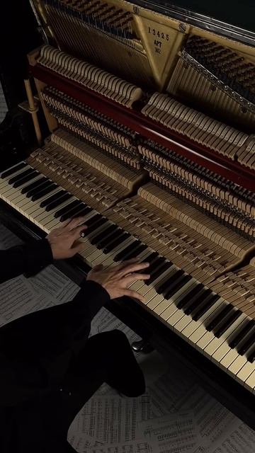 can't buy me loving #aesthetic #piano #calm