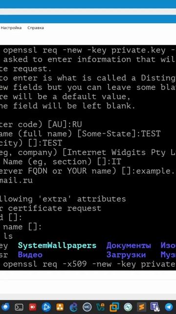 Создание самоподписанного сертификата.